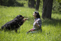 Berner Senner und Besitzerin in der Wiese | PARATIC Schutz - Snack für Hunde - mit Schwarzkümmelöl und Kokosöl - DOGS - HEART