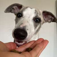 Kundenstimme Haut & Fell Drops - Kaltgepresste Pflege für Haut und Fell - DOGS - HEART