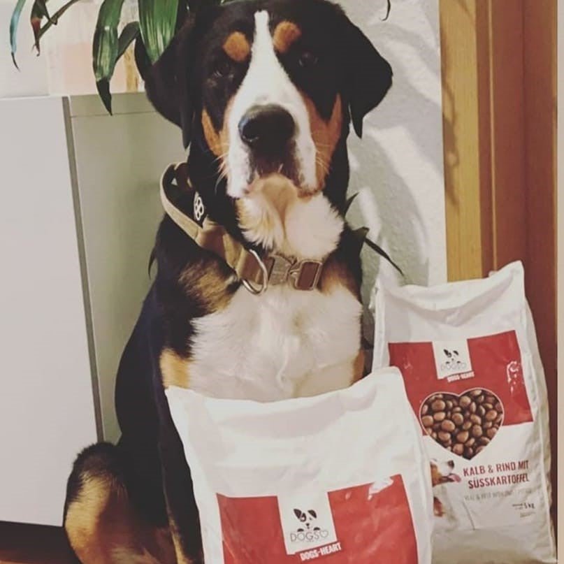 Kundenstimme Kalb & Rind mit Süßkartoffel - Hundefutter trocken getreidefrei mit hohem Fleischanteil, glutenfrei - DOGS-HEART