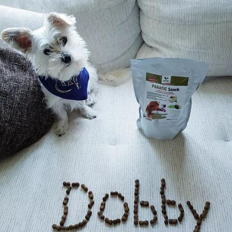 Kundenstimme Dobby PARATIC Schutz - Snack für Hunde - mit Schwarzkümmelöl und Kokosöl - DOGS-HEART