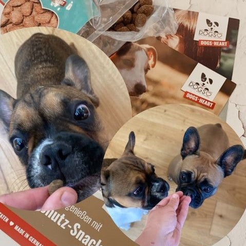 PARATIC Schutz-Snack Hund | Mit Schwarzkümmelöl & Kokosöl