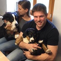 Welches Futter für Welpen und Junghunde