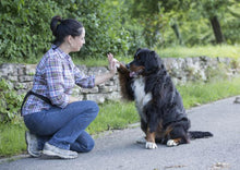 Lade das Bild in den Galerie-Viewer, Getreidefreies Hundefutter mit Kartoffel &amp; Geflügel
