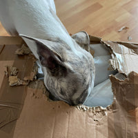 Hundefutter MIX - 3x1,5 kg | Sensible Hunde jeden Alters