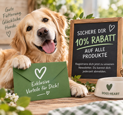 Fröhlicher Golden Retriever mit grünem Umschlag und 10%-Rabatt-Hinweis für den DOGS-HEART Newsletter.“