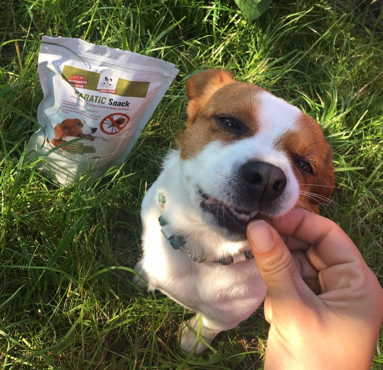 Doppelt sparen & Gratis Snack: Frühlings - Deal - 2x5kg Spar - Set (MHD bis Ende April) + GRATIS PARATIC Snack 250g - DOGS - HEART