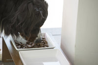 Doppelt sparen & Gratis Snack: Frühlings - Deal - 2x5kg Spar - Set (MHD bis Ende April) + GRATIS PARATIC Snack 250g - DOGS - HEART
