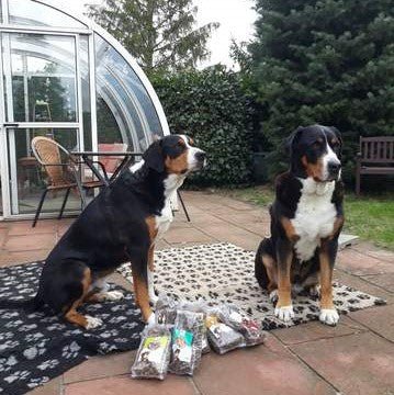 Futterproben 1 x 500g je Sorte (einmalig pro Kunde und Sorte 1 Futterprobe) - DOGS - HEART