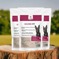 Gelenk Fit - Drops Hund | Kaltgepresst mit Grünlippmuschel - DOGS - HEART - Funktionssnacks