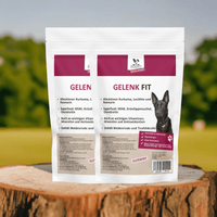 Gelenk Fit - Drops Hund | Kaltgepresst mit Grünlippmuschel - DOGS - HEART - Funktionssnacks