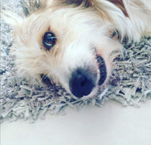Lade das Bild in den Galerie-Viewer, Gelenk Fit - Drops - Kaltgepresste Snacks mit Grünlippmuschel - DOGS - HEART
