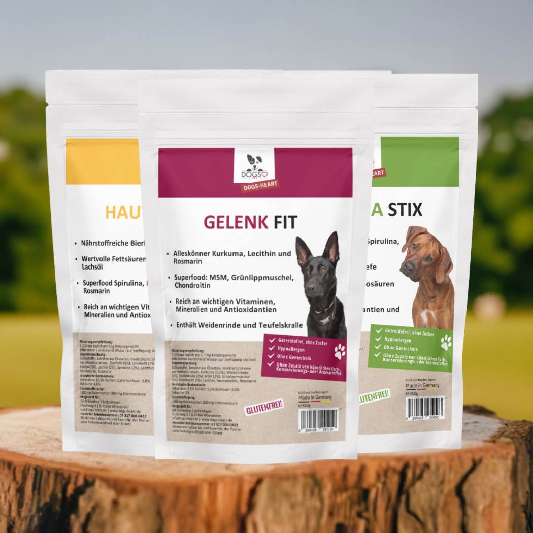 Gesunde Snack Box Hund | Haut & Fell, Gelenk, Spirulina - DOGS - HEART