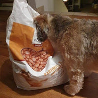 Begeisterter Hund frisst Hundefutter Geflügel direkt aus dem Sack - getreidefreies Trockenfutter mit kleinen Kroketten