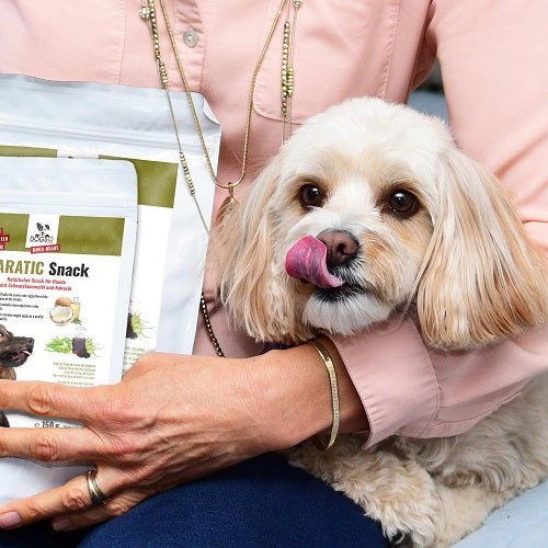 Kleiner Hund mit PARATIC Snack – täglicher Genuss und natürlicher Schutz mit Schwarzkümmelöl und Kokosöl.