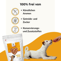 Hundefutter Geflügel 26% Protein - Vorteile: Kleine Kroketten, Made in Germany, getreidefreies Trockenfutter