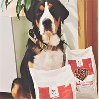 Hundefutter MIX - 2 x 15kg - getreidefrei mit hohem Fleischanteil, glutenfrei - DOGS - HEART