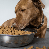 Hundefutter MIX - 2 x 15kg - getreidefrei mit hohem Fleischanteil, glutenfrei - DOGS - HEART