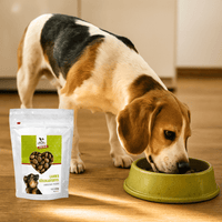 Hundefutter MIX - 3x1,5 kg | Sensible Hunde jeden Alters - DOGS - HEART