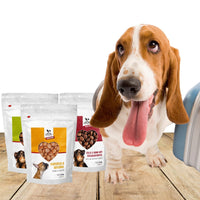 Hundefutter MIX - 3x1,5 kg | Sensible Hunde jeden Alters - DOGS - HEART
