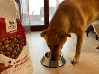 Hundefutter MIX - 3x5 kg - Für sensible Hunde jeden Alters - DOGS - HEART