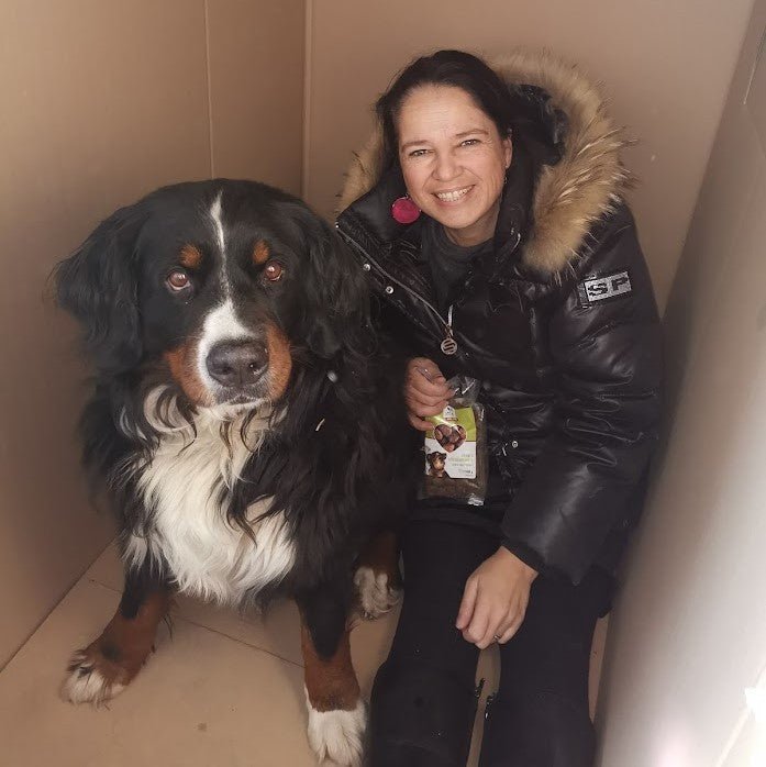 Hundefutter MIX - 3x5 kg - Für sensible Hunde jeden Alters - DOGS - HEART