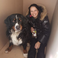 Hundefutter MIX - 3x5 kg - Für sensible Hunde jeden Alters - DOGS - HEART