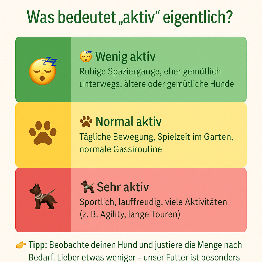Infografik Aktivitätslevel Hund: Wenig aktiv (ruhige Spaziergänge, ältere Hunde), Normal aktiv (tägliche Bewegung, Spielzeit), Sehr aktiv (Sport, Agility, lange Touren)