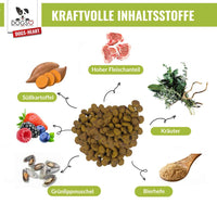Inhaltsstoffe Übersicht DOGS-HEART Lamm Hundefutter mit Lammfleisch Süßkartoffel Kräuter und Bierhefe Darstellung