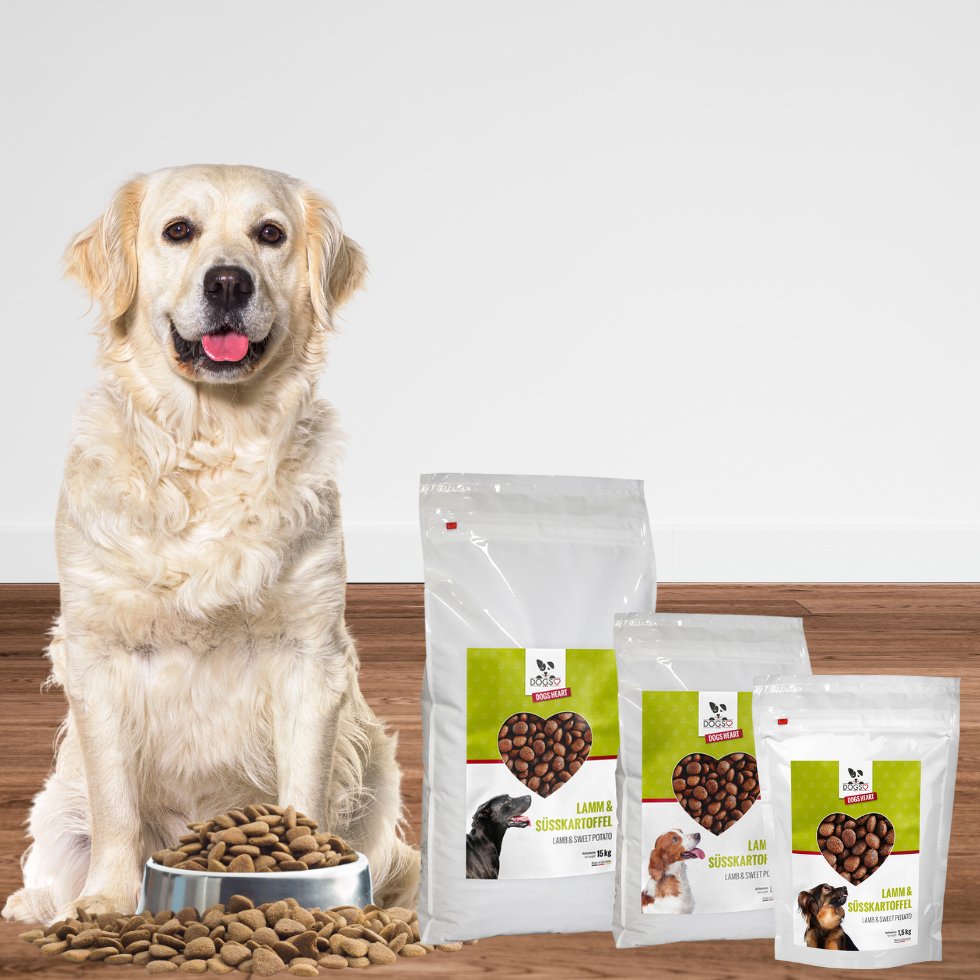 Golden Retriever mit DOGS-HEART Lamm Hundefutter Monoprotein in drei Verpackungsgrößen 1.5kg, 5kg und 15kg Beutel