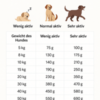 Lamm & Süßkartoffel – Getreidefreies Hundefutter für sensible Hunde - DOGS - HEART
