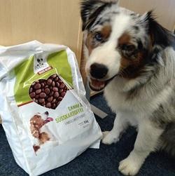 Lamm & Süßkartoffel - Hundefutter trocken getreidefrei mit hohem Fleischanteil, glutenfrei - Border Collie mit Futterpackung