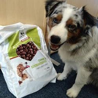 Lamm & Süßkartoffel - Hundefutter trocken getreidefrei mit hohem Fleischanteil, glutenfrei - Border Collie mit Futterpackung