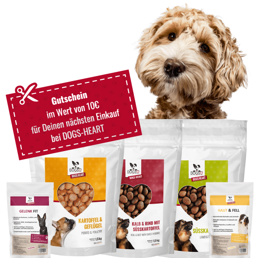 🌟Leckere Futterproben🌟 3x500g Getreidefreies Hundefutter + 2x getreidefreie Snacks - DOGS - HEART