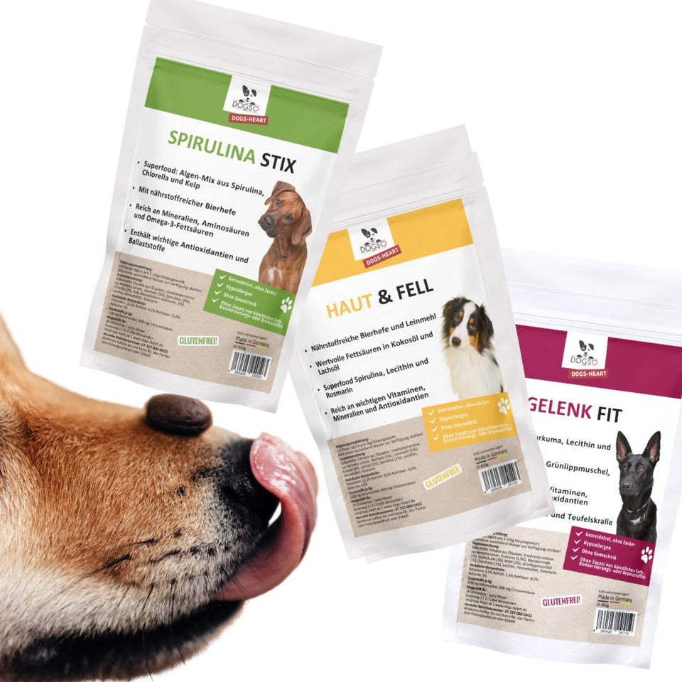 Natürliche Ergänzungs-Snacks von DOGS-HEART – für Gelenke, Haut & Fell und Vitalität mit hochwertigen Zutaten.