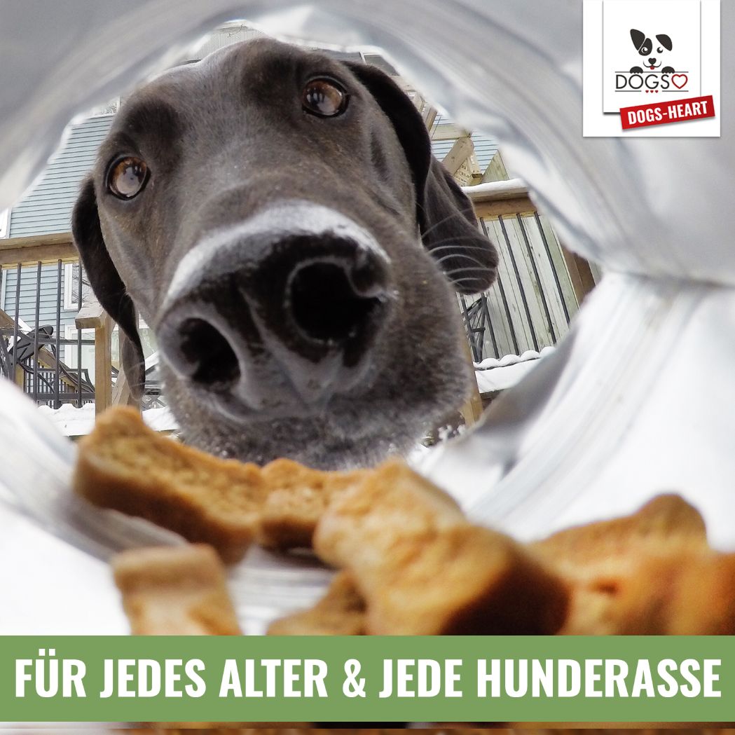 PARATIC Schutz-Snack für Hunde - mit Schwarzkümmelöl und Kokosöl - DOGS-HEART - Funktionssnacks | Leckerli Hundeschnauze cool