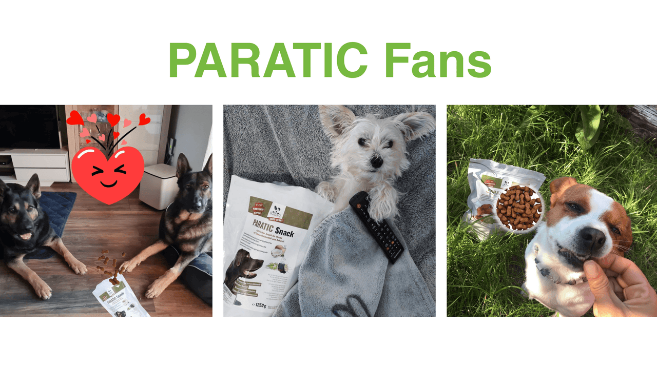 PARATIC Schutz - Snack für Hunde - mit Schwarzkümmelöl und Kokosöl - DOGS - HEART