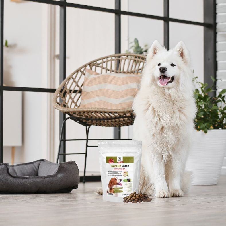 PARATIC Schutz - Snack Hund | Mit Schwarzkümmelöl & Kokosöl - DOGS - HEART