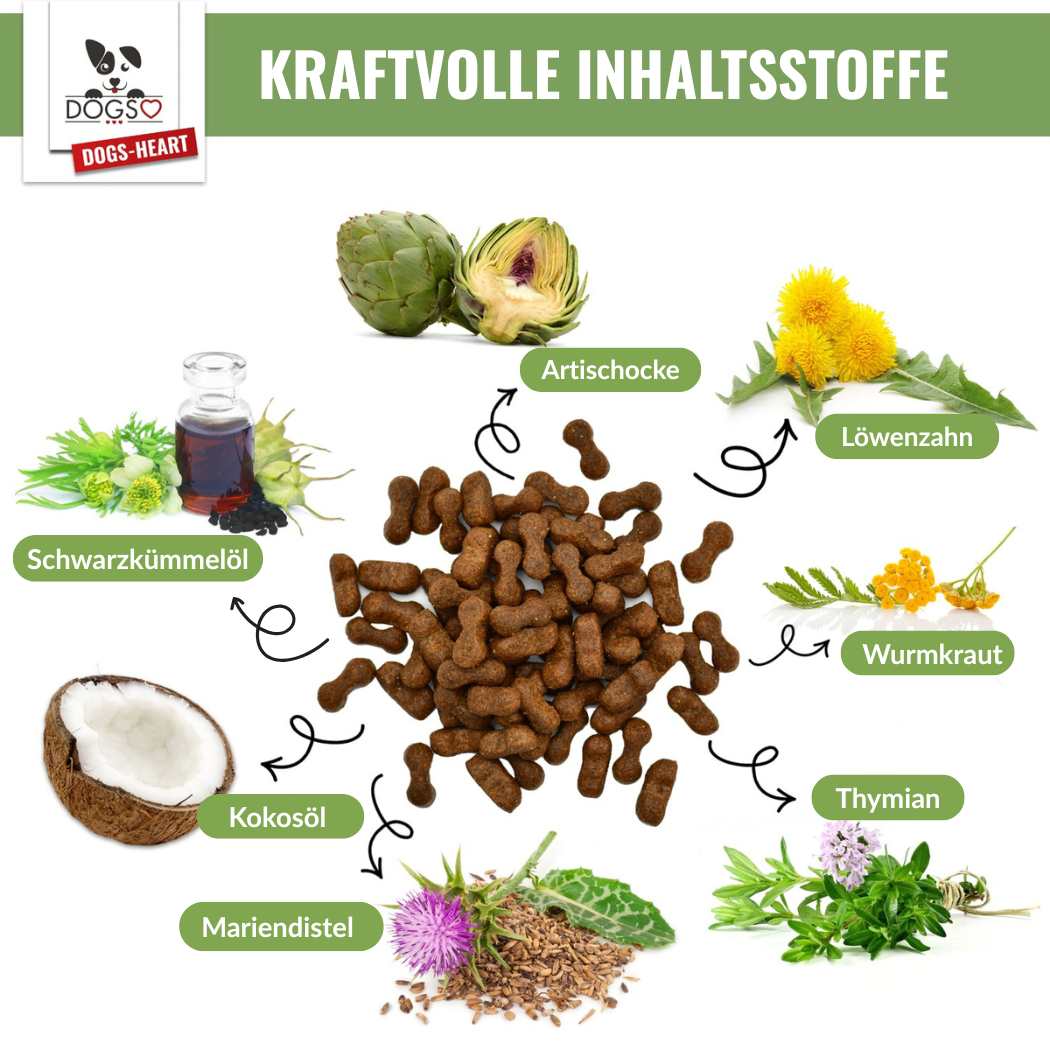 PARATIC Schutz - Snack Hund | Mit Schwarzkümmelöl & Kokosöl - DOGS - HEART