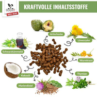 PARATIC Schutz - Snack Hund | Mit Schwarzkümmelöl & Kokosöl - DOGS - HEART