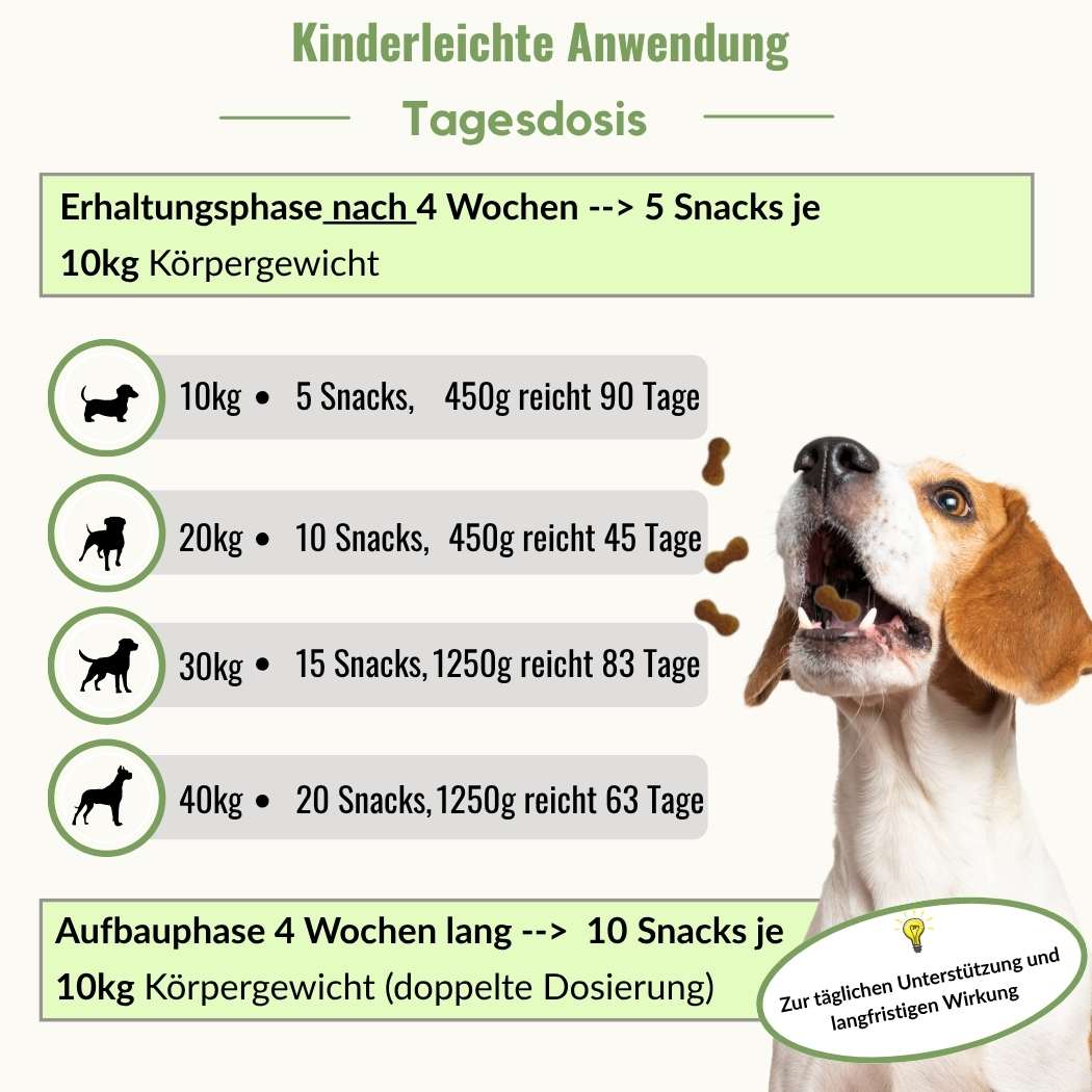 PARATIC Schutz - Snack Hund | Mit Schwarzkümmelöl & Kokosöl - DOGS - HEART