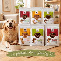 Zufriedener Golden Retriever neben sechs DOGS-HEART Trockenfutter-Packungen und einem gefüllten Futternapf. Zu sehen sind die Sorten Kartoffel & Geflügel, Lamm & Süßkartoffel sowie Kalb & Rind mit Süßkartoffel.