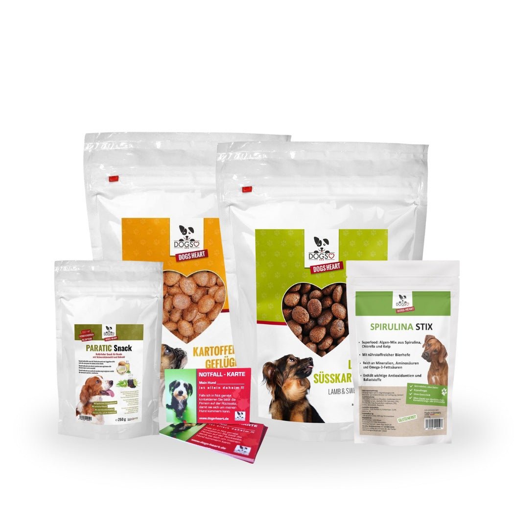 Premium Sorglos - Paket | Alles für den Urlaub mit Hund - DOGS - HEART