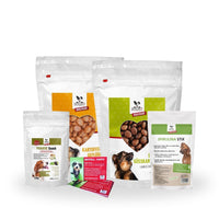 Premium Sorglos - Paket | Alles für den Urlaub mit Hund - DOGS - HEART