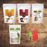 Premium Sorglos - Paket | Alles für den Urlaub mit Hund - DOGS - HEART - Trockenfutter