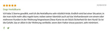 Lade das Bild in den Galerie-Viewer, SOS Notfallkarten (5er Set) – Für die Sicherheit deines Hundes - DOGS - HEART
