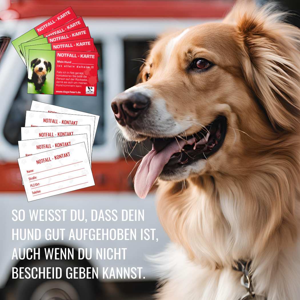 SOS Notfallkarten (5er Set) | Für die Sicherheit deines Hundes - DOGS - HEART