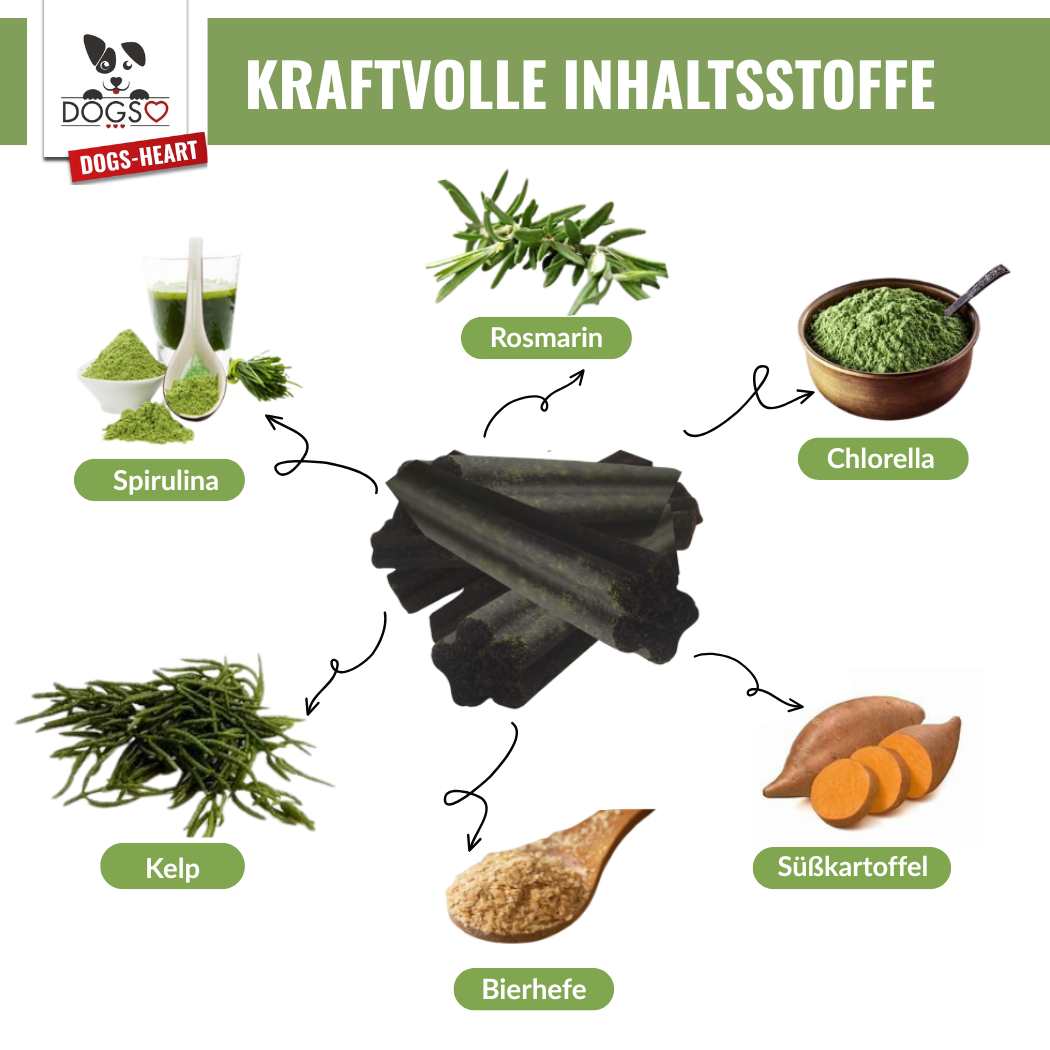 Spirulina STIX Hund | Zahnpflege Kaustangen getreidefrei - DOGS - HEART
