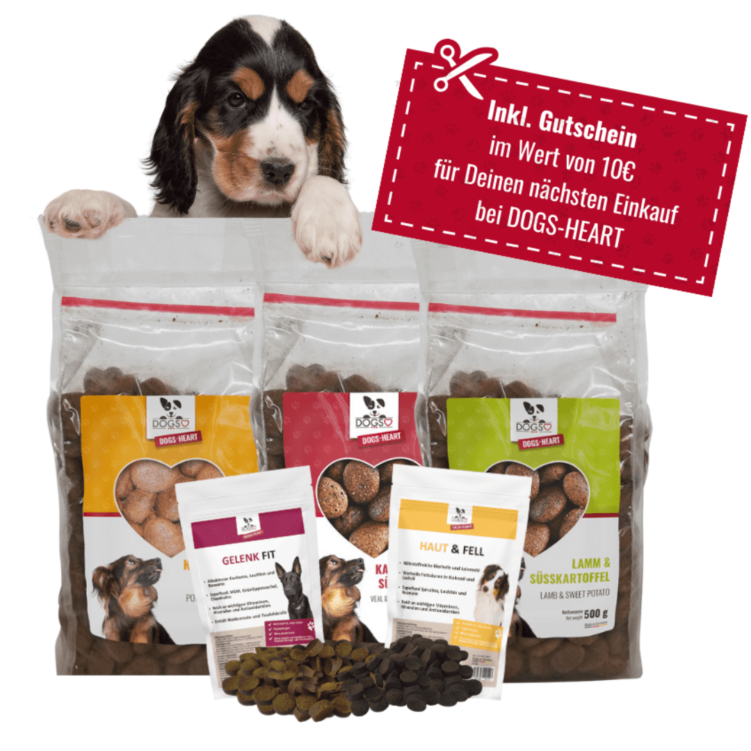 🌟Unser Starter Testpaket🌟 Getreidefreies Hundefutter, sowie leckere Haut & Fell - und Gelenk Fit Drops - DOGS - HEART