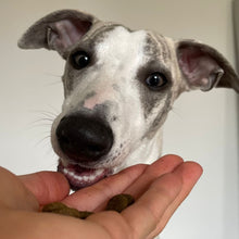 Lade das Bild in den Galerie-Viewer, Futterproben - Teste unser Hundefutter auf Herz und Nieren( einmalig pro Kunde und Sorte 1 Futterprobe)
