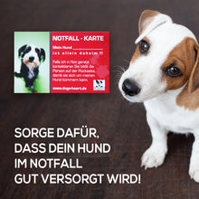Lade das Bild in den Galerie-Viewer, SOS Notfallkarten (5er Set) - Beschütze Deinen Hund im Notfall!
